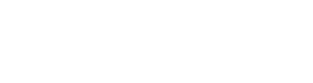 DesvvoFit